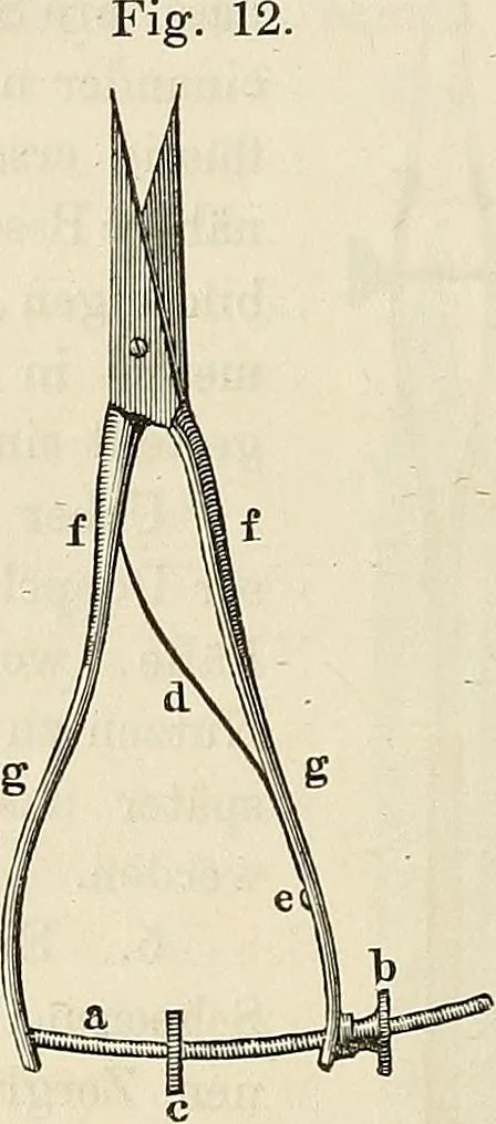 An illustration from Das mikroskop : Theorie, gebrauch, geschichte und gegenwärtiger zustand desselben, 1866, leaf 439