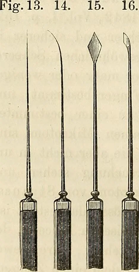 An illustration from Das mikroskop : Theorie, gebrauch, geschichte und gegenwärtiger zustand desselben, 1866, leaf 439