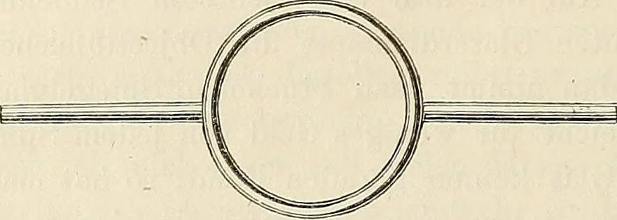 An illustration from Das mikroskop : Theorie, gebrauch, geschichte und gegenwärtiger zustand desselben, 1866, leaf 445