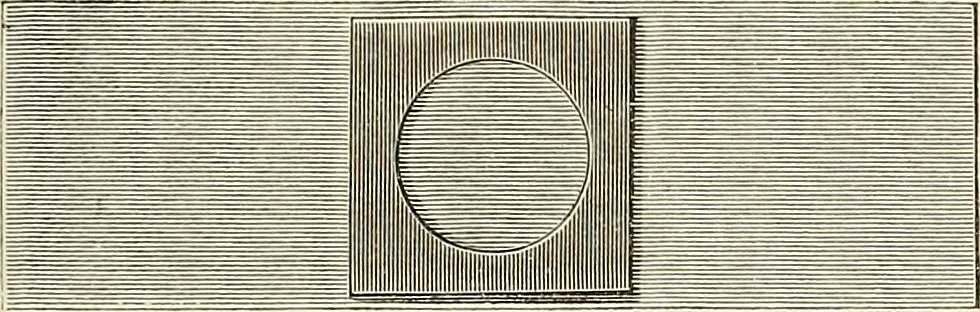An illustration from Das mikroskop : Theorie, gebrauch, geschichte und gegenwärtiger zustand desselben, 1866, leaf 448