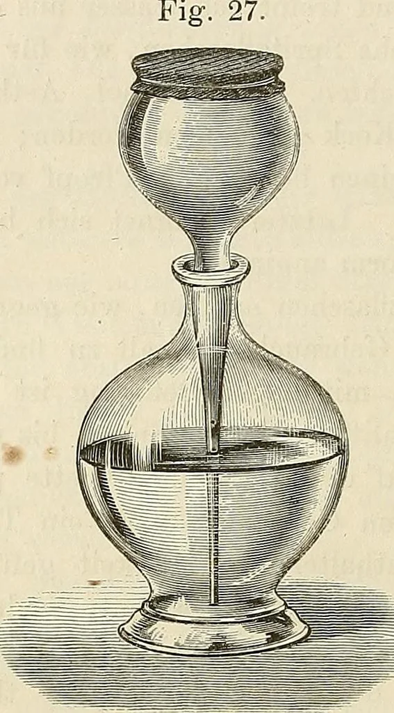 An illustration from Das mikroskop : Theorie, gebrauch, geschichte und gegenwärtiger zustand desselben, 1866, leaf 455