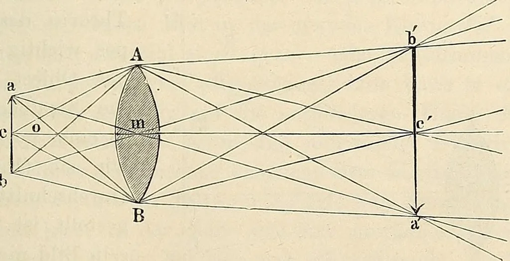 An illustration from Das mikroskop : Theorie, gebrauch, geschichte und gegenwärtiger zustand desselben, 1866, leaf 46