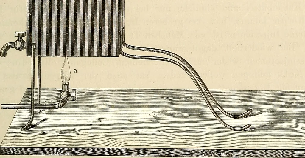 An illustration from Das mikroskop : Theorie, gebrauch, geschichte und gegenwärtiger zustand desselben, 1866, leaf 496