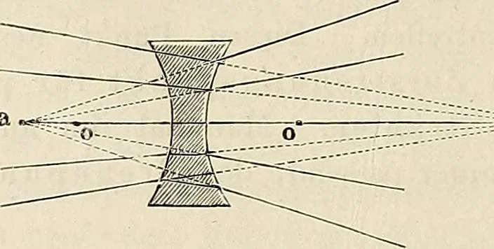An illustration from Das mikroskop : Theorie, gebrauch, geschichte und gegenwärtiger zustand desselben, 1866, leaf 51