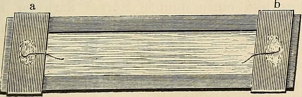 An illustration from Das mikroskop : Theorie, gebrauch, geschichte und gegenwärtiger zustand desselben, 1866, leaf 536
