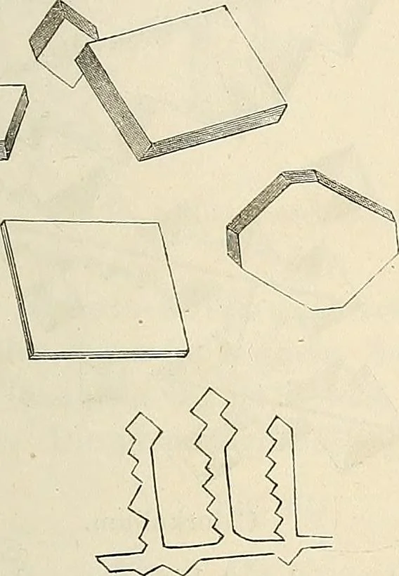 An illustration from Das mikroskop : Theorie, gebrauch, geschichte und gegenwärtiger zustand desselben, 1866, leaf 546
