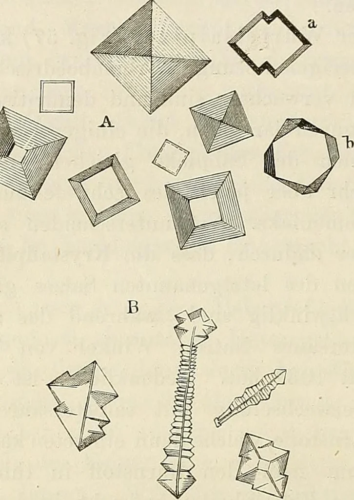 An illustration from Das mikroskop : Theorie, gebrauch, geschichte und gegenwärtiger zustand desselben, 1866, leaf 547