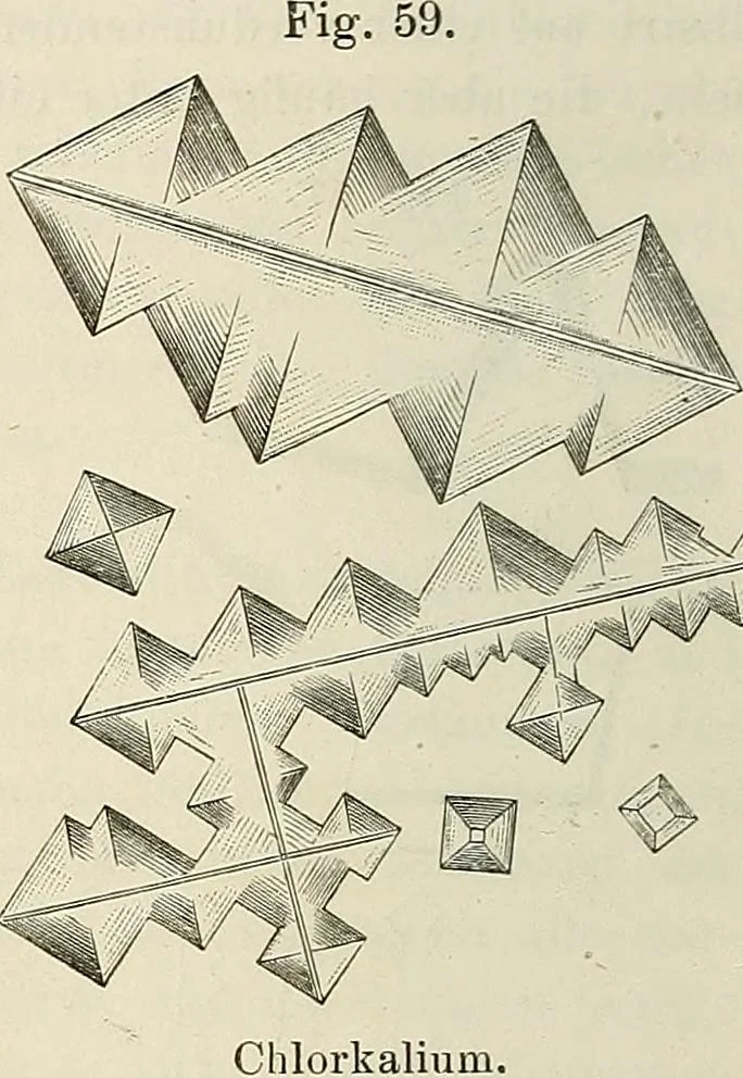 An illustration from Das mikroskop : Theorie, gebrauch, geschichte und gegenwärtiger zustand desselben, 1866, leaf 547