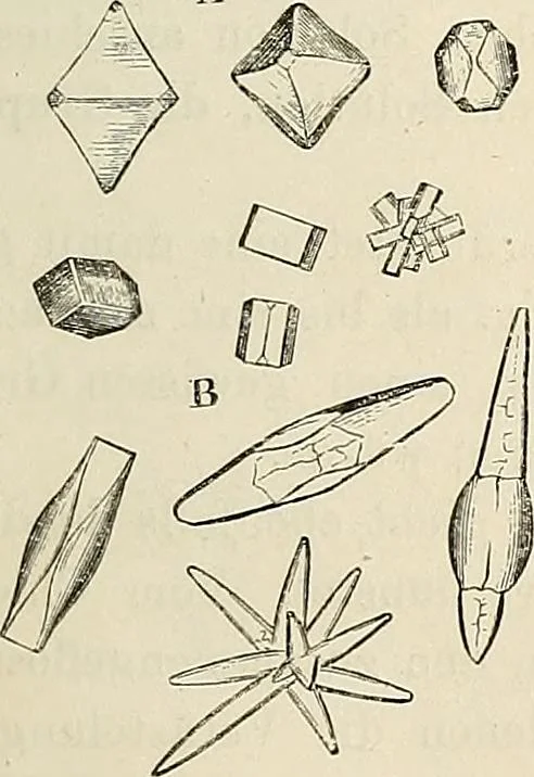 An illustration from Das mikroskop : Theorie, gebrauch, geschichte und gegenwärtiger zustand desselben, 1866, leaf 548