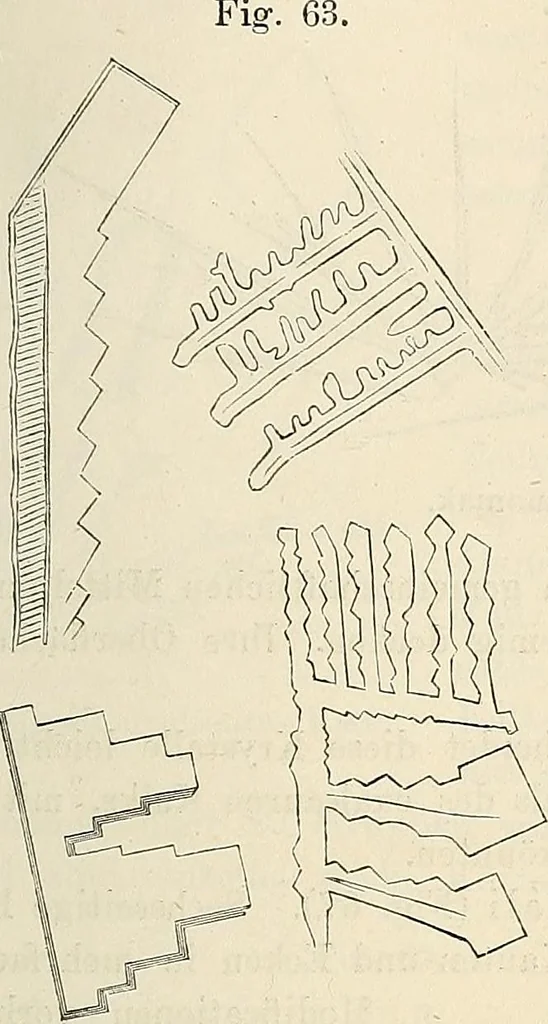 An illustration from Das mikroskop : Theorie, gebrauch, geschichte und gegenwärtiger zustand desselben, 1866, leaf 550