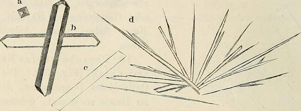 An illustration from Das mikroskop : Theorie, gebrauch, geschichte und gegenwärtiger zustand desselben, 1866, leaf 551