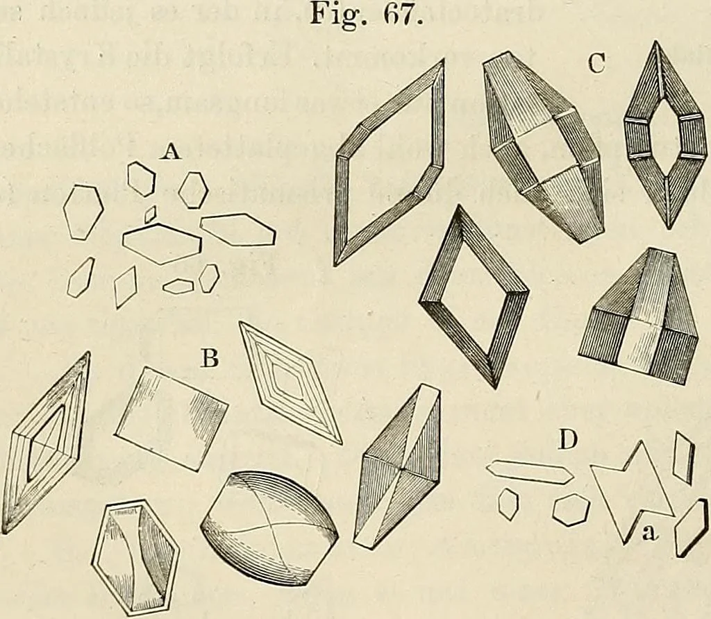 An illustration from Das mikroskop : Theorie, gebrauch, geschichte und gegenwärtiger zustand desselben, 1866, leaf 551