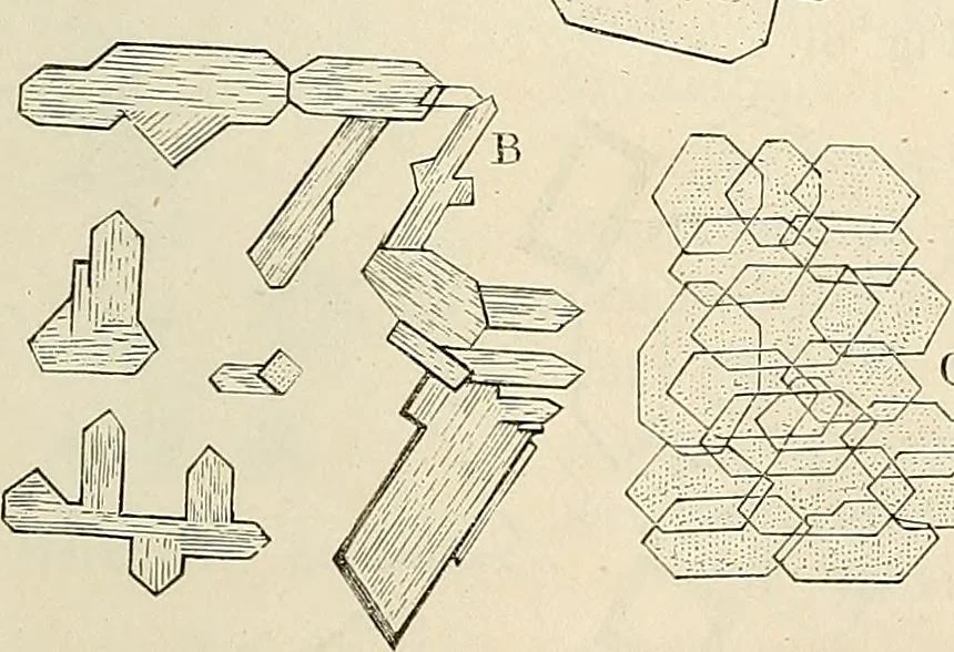 An illustration from Das mikroskop : Theorie, gebrauch, geschichte und gegenwärtiger zustand desselben, 1866, leaf 560