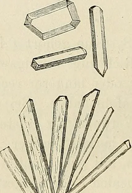 An illustration from Das mikroskop : Theorie, gebrauch, geschichte und gegenwärtiger zustand desselben, 1866, leaf 565