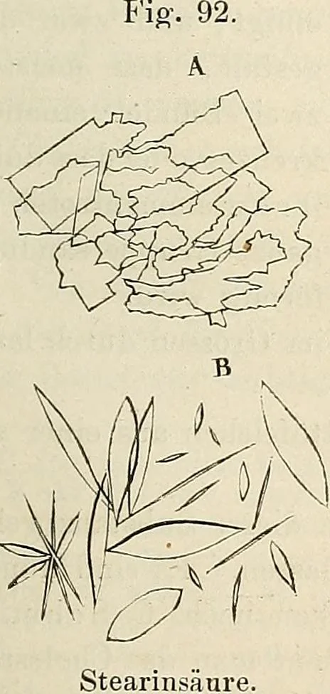 An illustration from Das mikroskop : Theorie, gebrauch, geschichte und gegenwärtiger zustand desselben, 1866, leaf 566