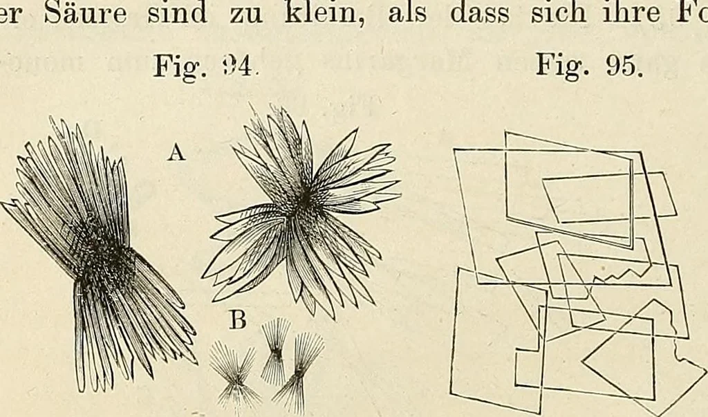 An illustration from Das mikroskop : Theorie, gebrauch, geschichte und gegenwärtiger zustand desselben, 1866, leaf 567