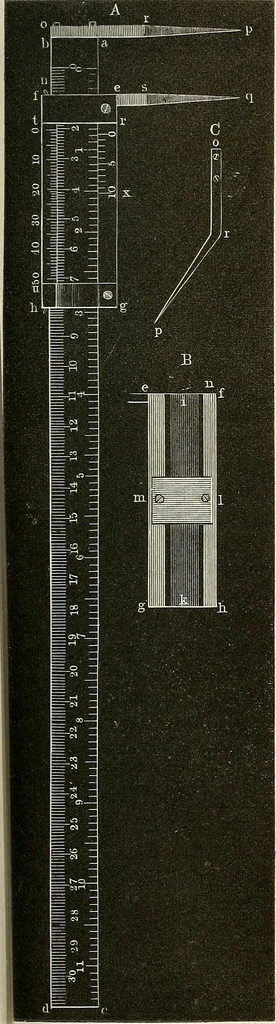 An illustration from Das mikroskop : Theorie, gebrauch, geschichte und gegenwärtiger zustand desselben, 1866, leaf 620