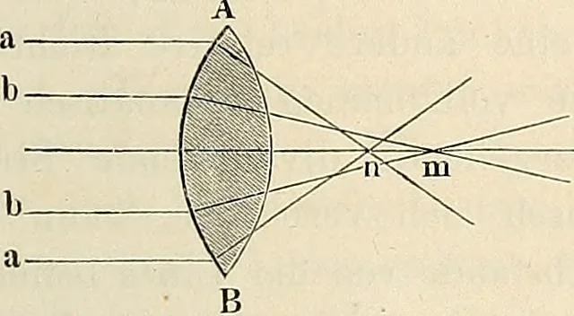 An illustration from Das mikroskop : Theorie, gebrauch, geschichte und gegenwärtiger zustand desselben, 1866, leaf 64