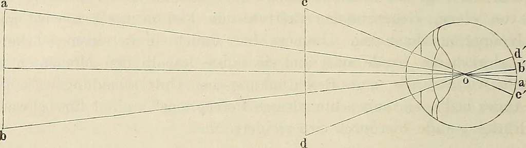 An illustration from Das mikroskop : Theorie, gebrauch, geschichte und gegenwärtiger zustand desselben, 1866, leaf 73
