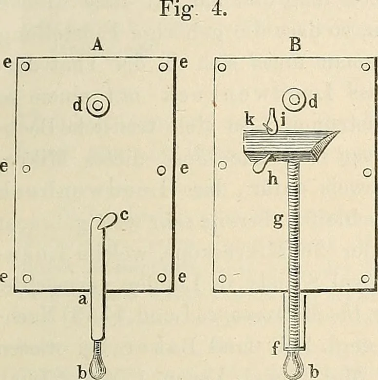 An illustration from Das mikroskop : Theorie, gebrauch, geschichte und gegenwärtiger zustand desselben, 1866, leaf 734