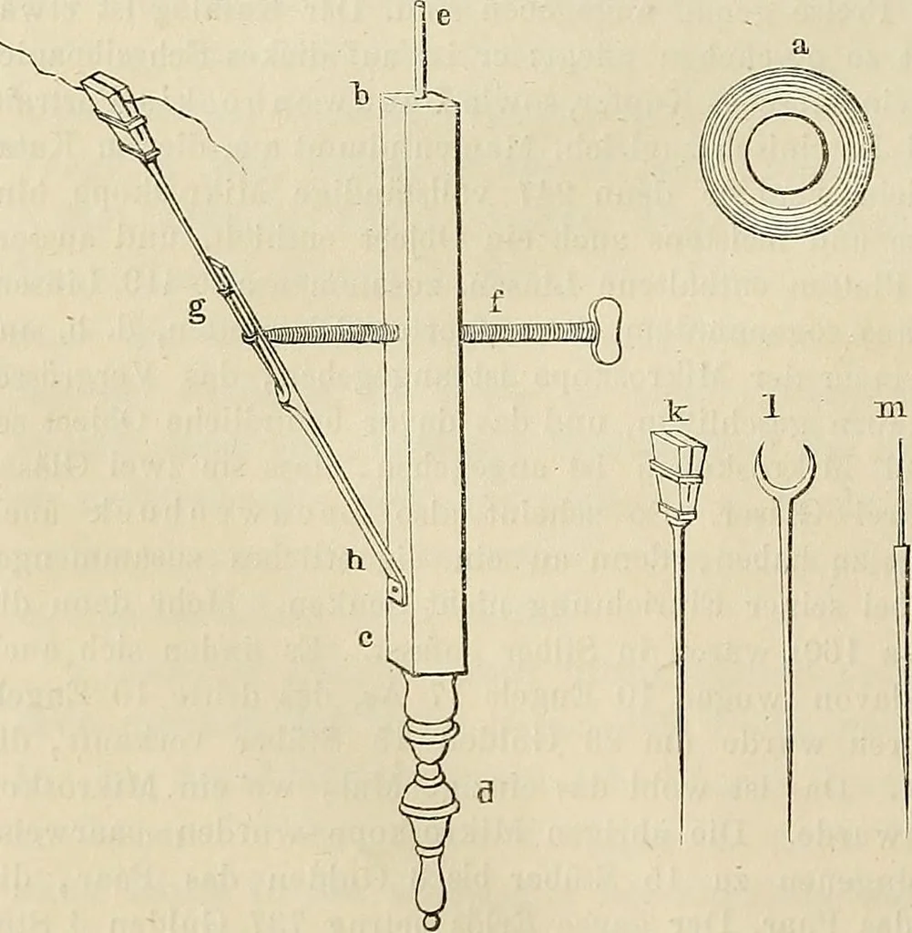 An illustration from Das mikroskop : Theorie, gebrauch, geschichte und gegenwärtiger zustand desselben, 1866, leaf 737