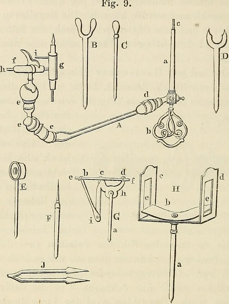 An illustration from Das mikroskop : Theorie, gebrauch, geschichte und gegenwärtiger zustand desselben, 1866, leaf 739