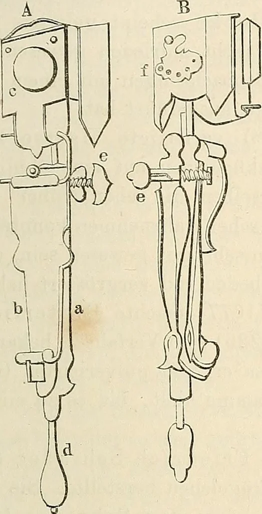 An illustration from Das mikroskop : Theorie, gebrauch, geschichte und gegenwärtiger zustand desselben, 1866, leaf 740