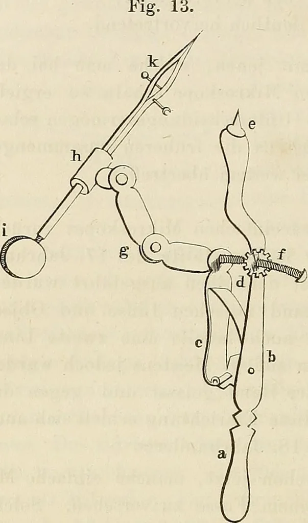 An illustration from Das mikroskop : Theorie, gebrauch, geschichte und gegenwärtiger zustand desselben, 1866, leaf 747