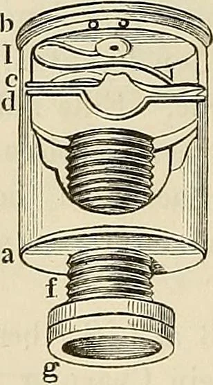 An illustration from Das mikroskop : Theorie, gebrauch, geschichte und gegenwärtiger zustand desselben, 1866, leaf 747