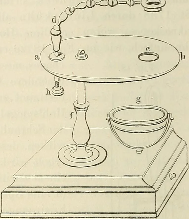 An illustration from Das mikroskop : Theorie, gebrauch, geschichte und gegenwärtiger zustand desselben, 1866, leaf 751
