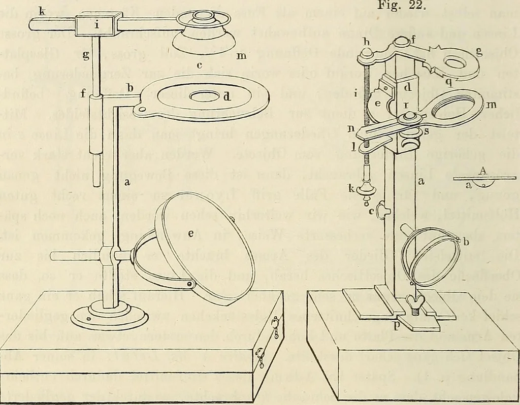 An illustration from Das mikroskop : Theorie, gebrauch, geschichte und gegenwärtiger zustand desselben, 1866, leaf 753