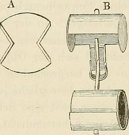 An illustration from Das mikroskop : Theorie, gebrauch, geschichte und gegenwärtiger zustand desselben, 1866, leaf 755