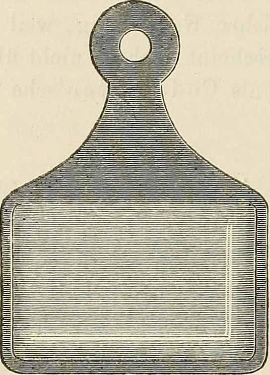 An illustration from Das mikroskop : Theorie, gebrauch, geschichte und gegenwärtiger zustand desselben, 1866, leaf 757