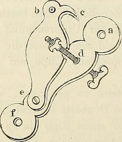 An illustration from Das mikroskop : Theorie, gebrauch, geschichte und gegenwärtiger zustand desselben, 1866, leaf 765