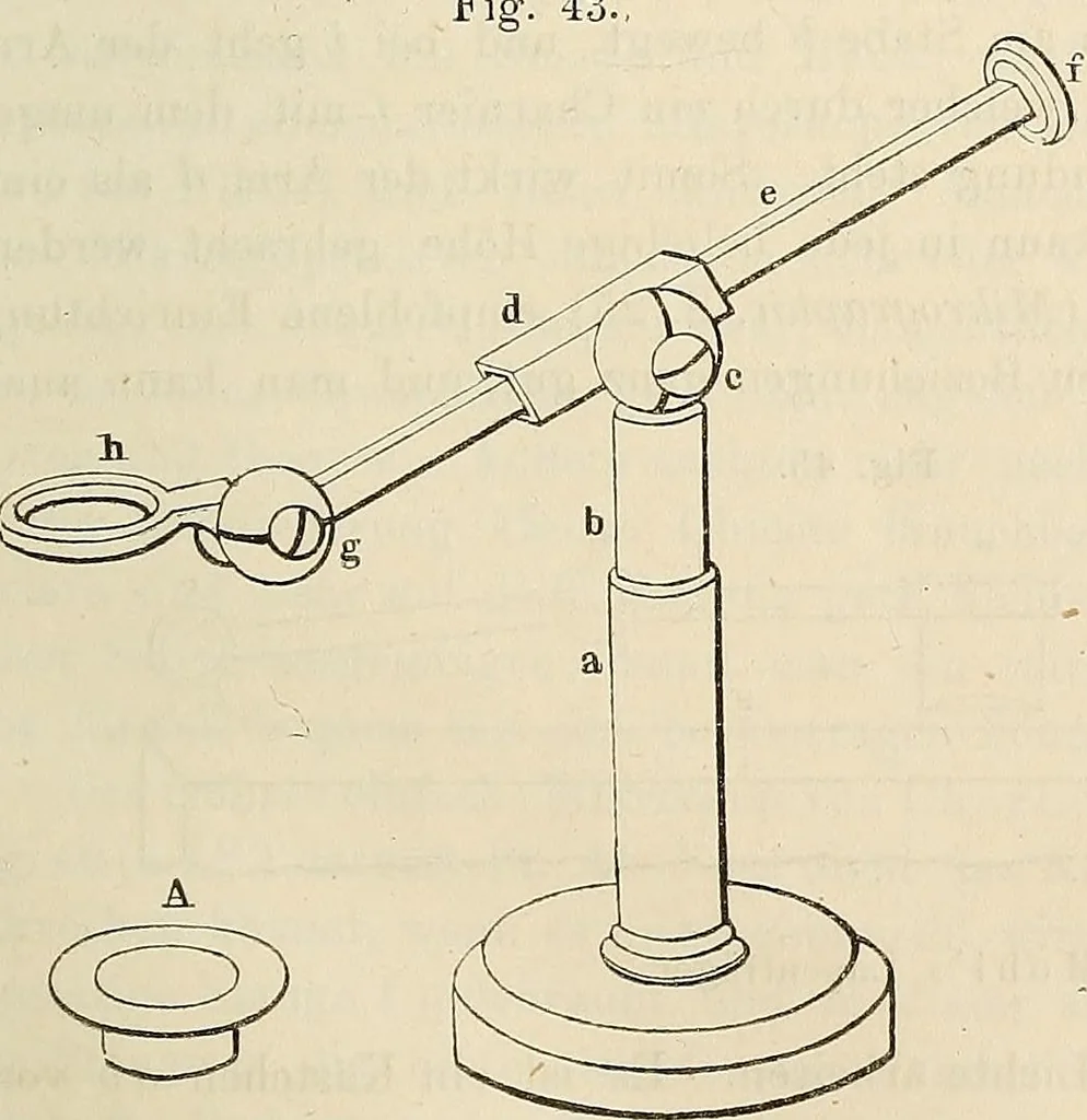 An illustration from Das mikroskop : Theorie, gebrauch, geschichte und gegenwärtiger zustand desselben, 1866, leaf 776