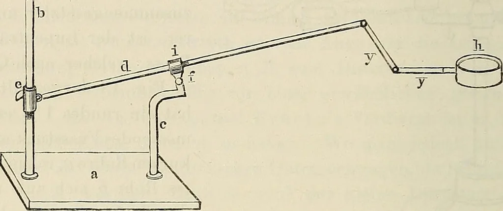 An illustration from Das mikroskop : Theorie, gebrauch, geschichte und gegenwärtiger zustand desselben, 1866, leaf 777