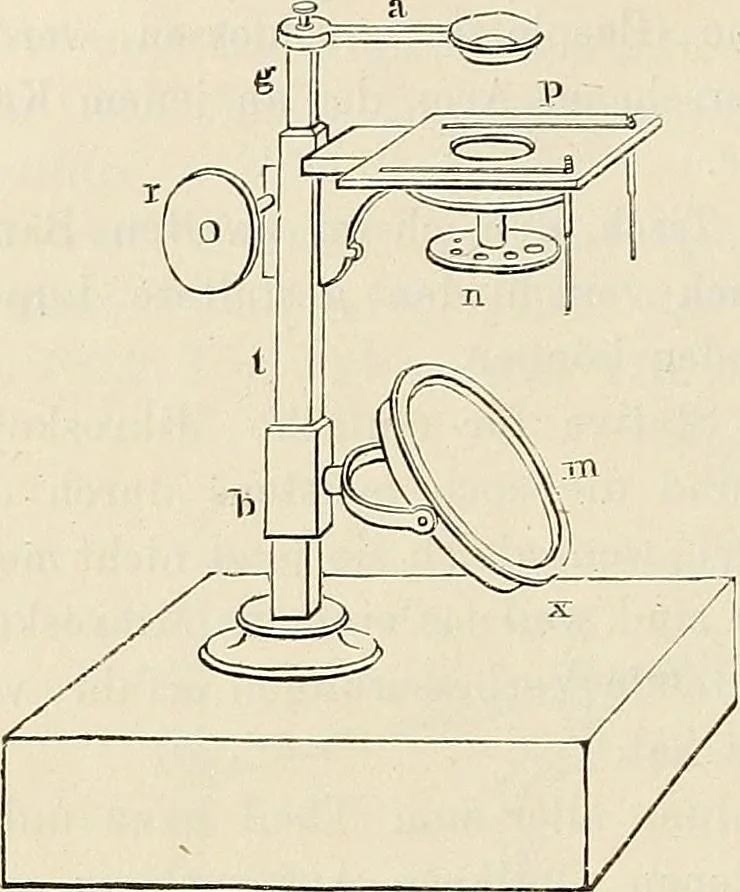 An illustration from Das mikroskop : Theorie, gebrauch, geschichte und gegenwärtiger zustand desselben, 1866, leaf 779