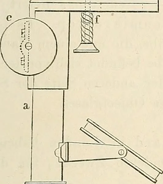An illustration from Das mikroskop : Theorie, gebrauch, geschichte und gegenwärtiger zustand desselben, 1866, leaf 782