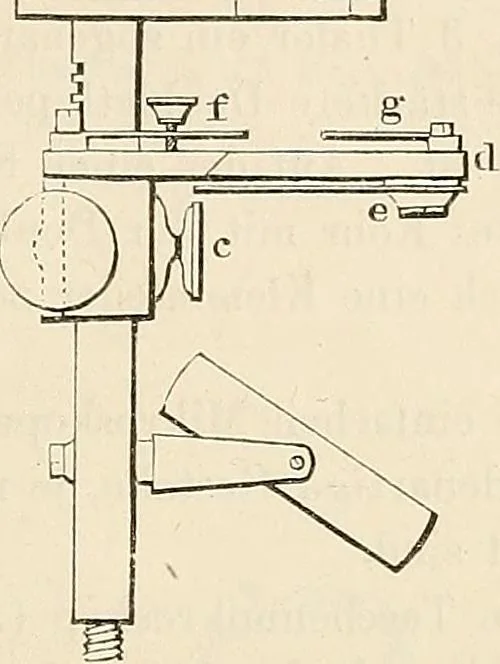An illustration from Das mikroskop : Theorie, gebrauch, geschichte und gegenwärtiger zustand desselben, 1866, leaf 782
