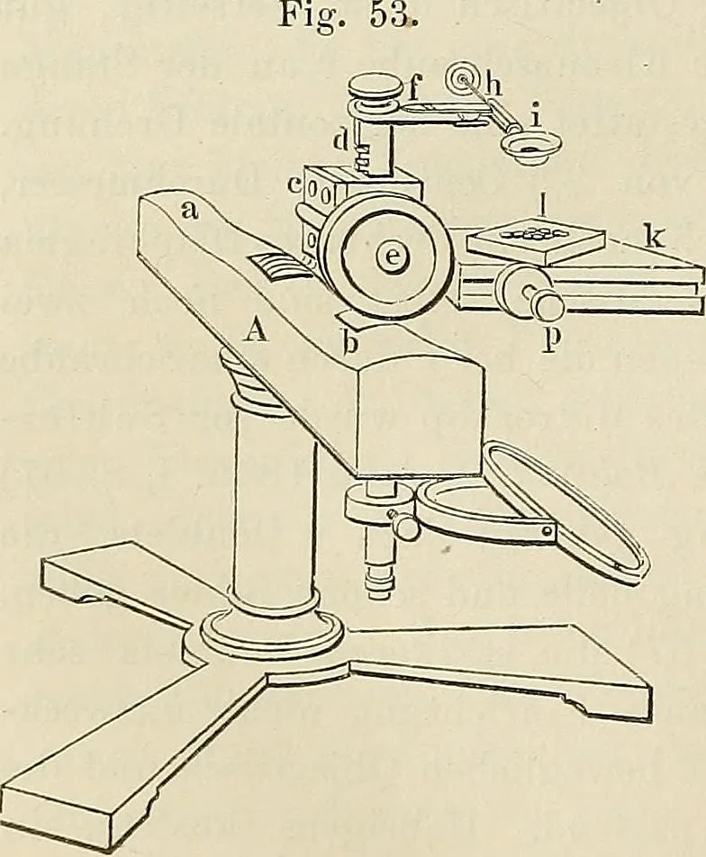 An illustration from Das mikroskop : Theorie, gebrauch, geschichte und gegenwärtiger zustand desselben, 1866, leaf 783