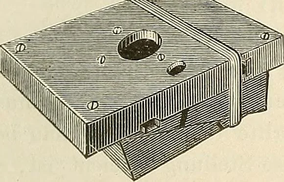 An illustration from Das mikroskop : Theorie, gebrauch, geschichte und gegenwärtiger zustand desselben, 1866, leaf 790