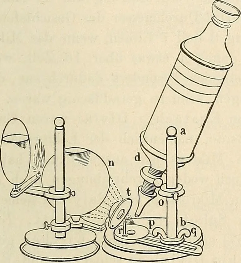 An illustration from Das mikroskop : Theorie, gebrauch, geschichte und gegenwärtiger zustand desselben, 1866, leaf 796