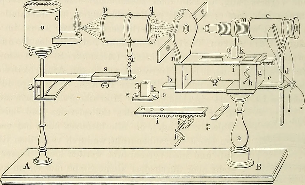 An illustration from Das mikroskop : Theorie, gebrauch, geschichte und gegenwärtiger zustand desselben, 1866, leaf 805