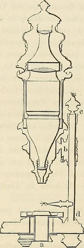 An illustration from Das mikroskop : Theorie, gebrauch, geschichte und gegenwärtiger zustand desselben, 1866, leaf 807