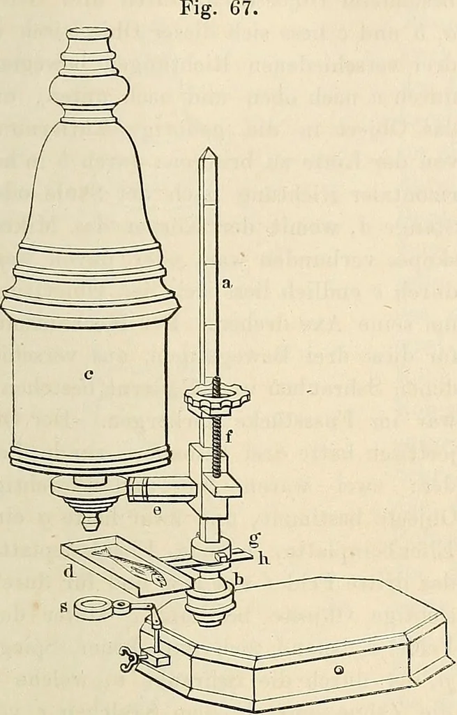 An illustration from Das mikroskop : Theorie, gebrauch, geschichte und gegenwärtiger zustand desselben, 1866, leaf 808