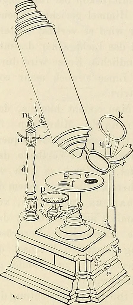 An illustration from Das mikroskop : Theorie, gebrauch, geschichte und gegenwärtiger zustand desselben, 1866, leaf 809