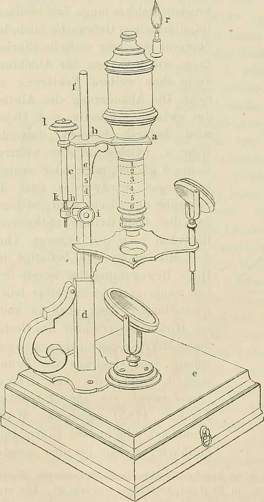 An illustration from Das mikroskop : Theorie, gebrauch, geschichte und gegenwärtiger zustand desselben, 1866, leaf 811