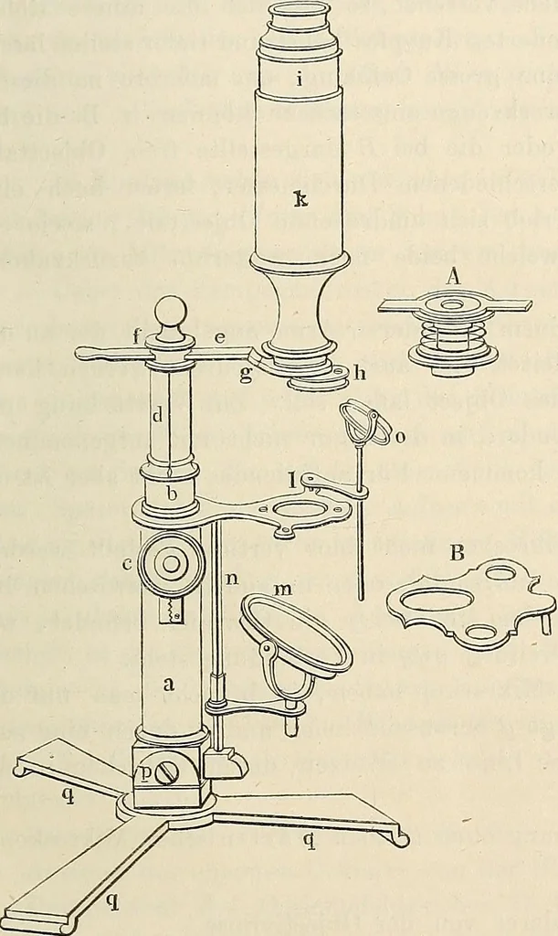 An illustration from Das mikroskop : Theorie, gebrauch, geschichte und gegenwärtiger zustand desselben, 1866, leaf 814