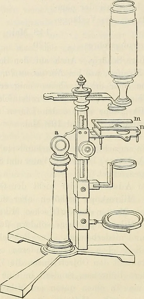 An illustration from Das mikroskop : Theorie, gebrauch, geschichte und gegenwärtiger zustand desselben, 1866, leaf 817