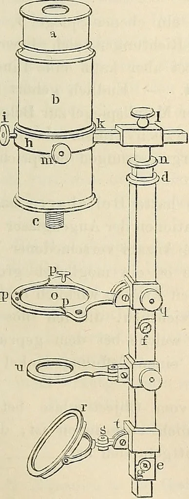 An illustration from Das mikroskop : Theorie, gebrauch, geschichte und gegenwärtiger zustand desselben, 1866, leaf 820